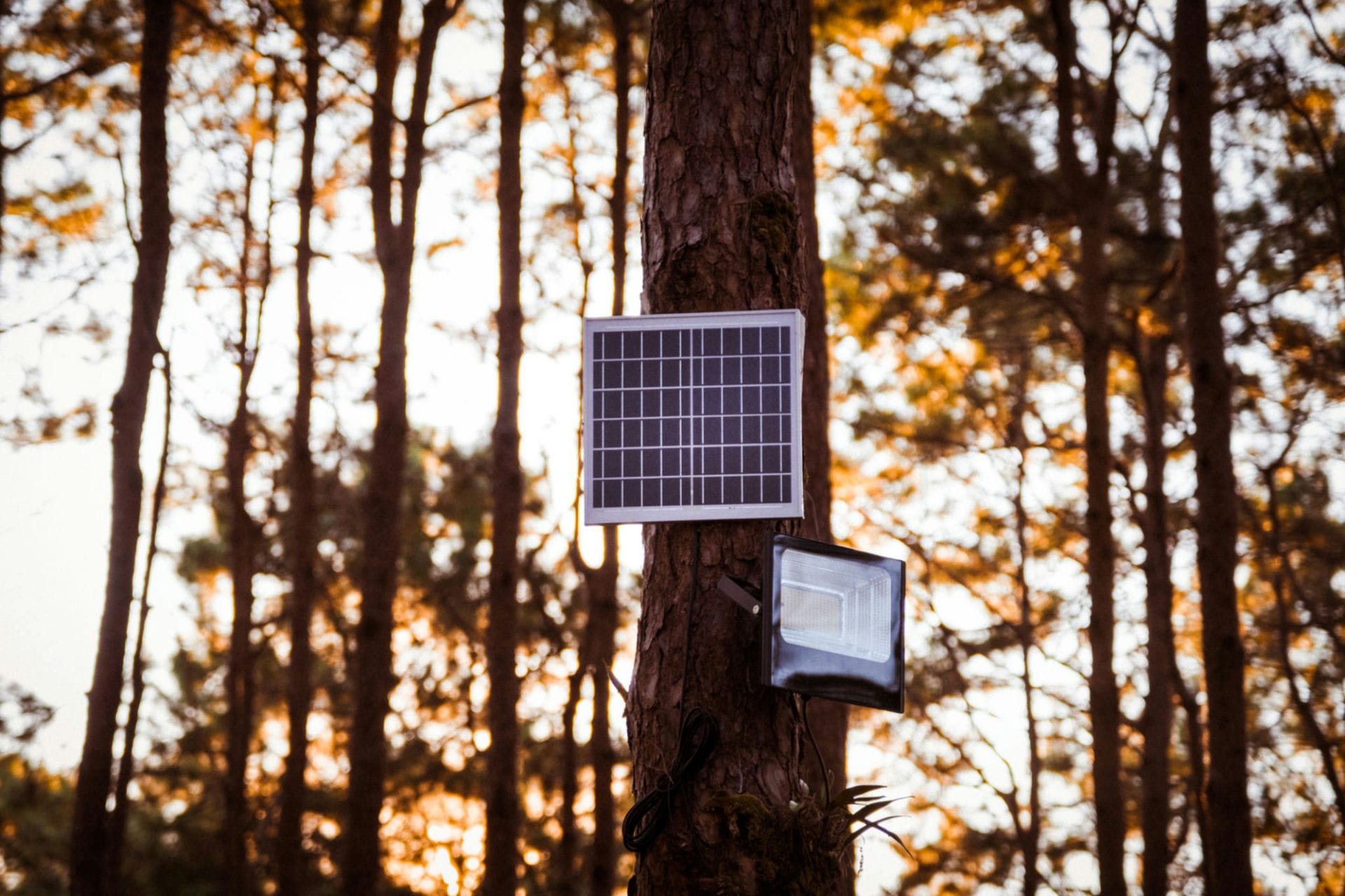 what is solar led light1
