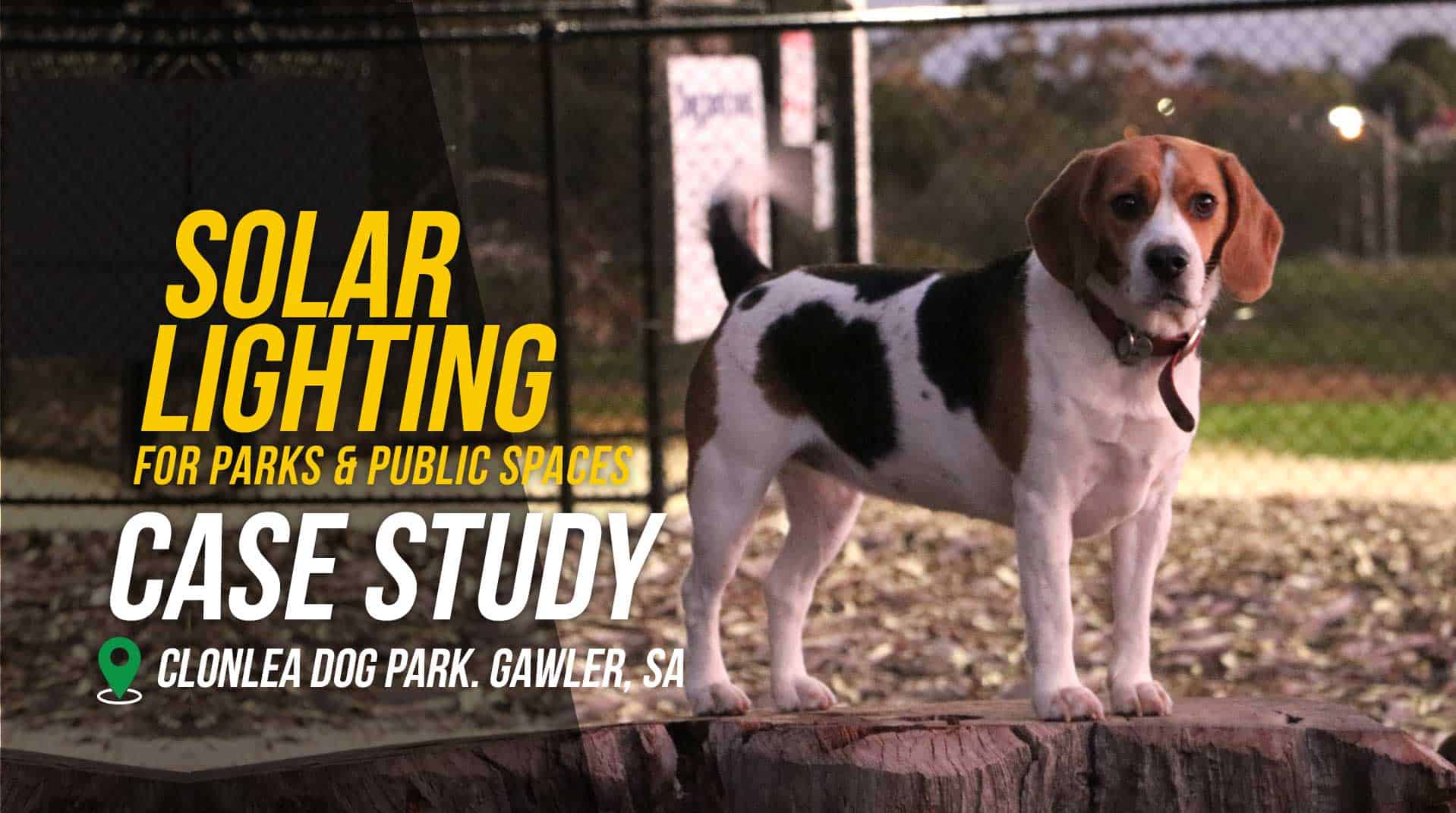 Clonlea Reserve Dog Park Solar lighting