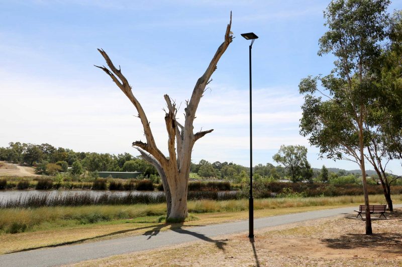 solar pathway lighting lake Albert Wagga Wagga